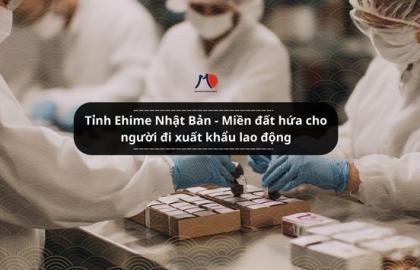 Tỉnh Ehime Nhật Bản - Miền đất hứa cho người đi xuất khẩu lao động