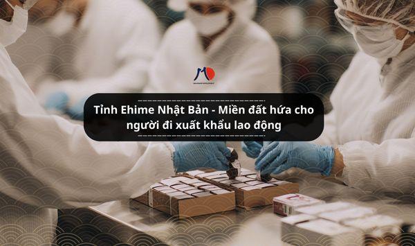Tỉnh Ehime Nhật Bản - Miền đất hứa cho người đi xuất khẩu lao động