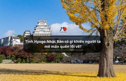Tỉnh Hyogo Nhật Bản có gì khiến người ta mê mẩn quên lối về?
