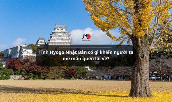 Tỉnh Hyogo Nhật Bản có gì khiến người ta mê mẩn quên lối về?