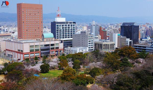 tinh-wakayama-nguoi-1.jpg