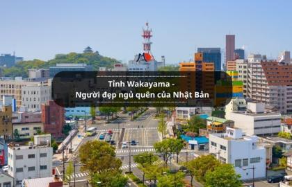 Tỉnh Wakayama - Người đẹp ngủ quên của Nhật Bản