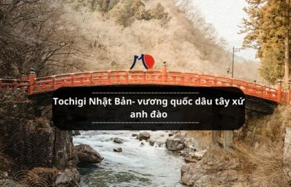 Tochigi Nhật Bản- vương quốc dâu tây xứ anh đào