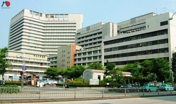 truong-dai-hoc-nagoya-5.jpg