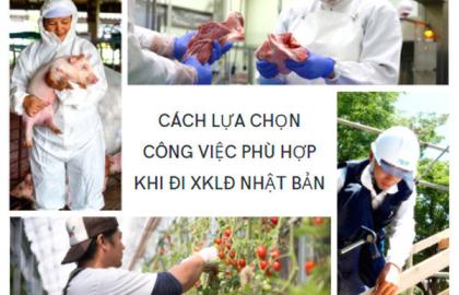 Cách lựa chọn công việc phù hợp khi đi XKLĐ Nhật Bản