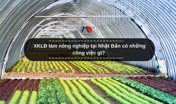XKLĐ làm nông nghiệp tại Nhật Bản có những công việc gì?