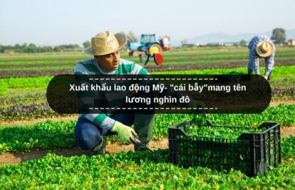 Xuất khẩu lao động Mỹ- "cái bẫy"mang tên lương nghìn đô
